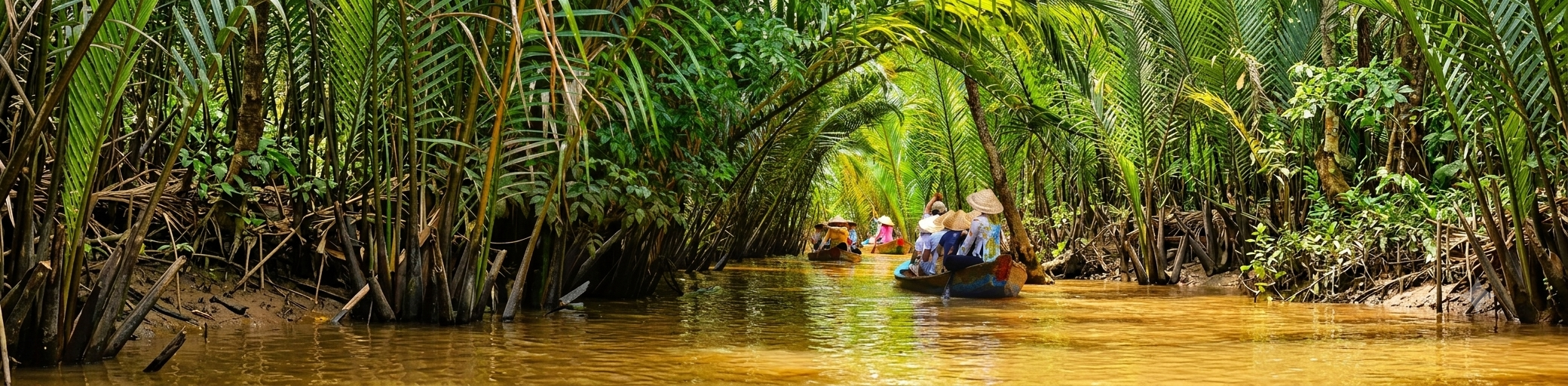 Đồng Tháp