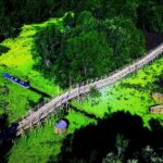 Khám phá hệ sinh thái rừng tràm Trà Sư