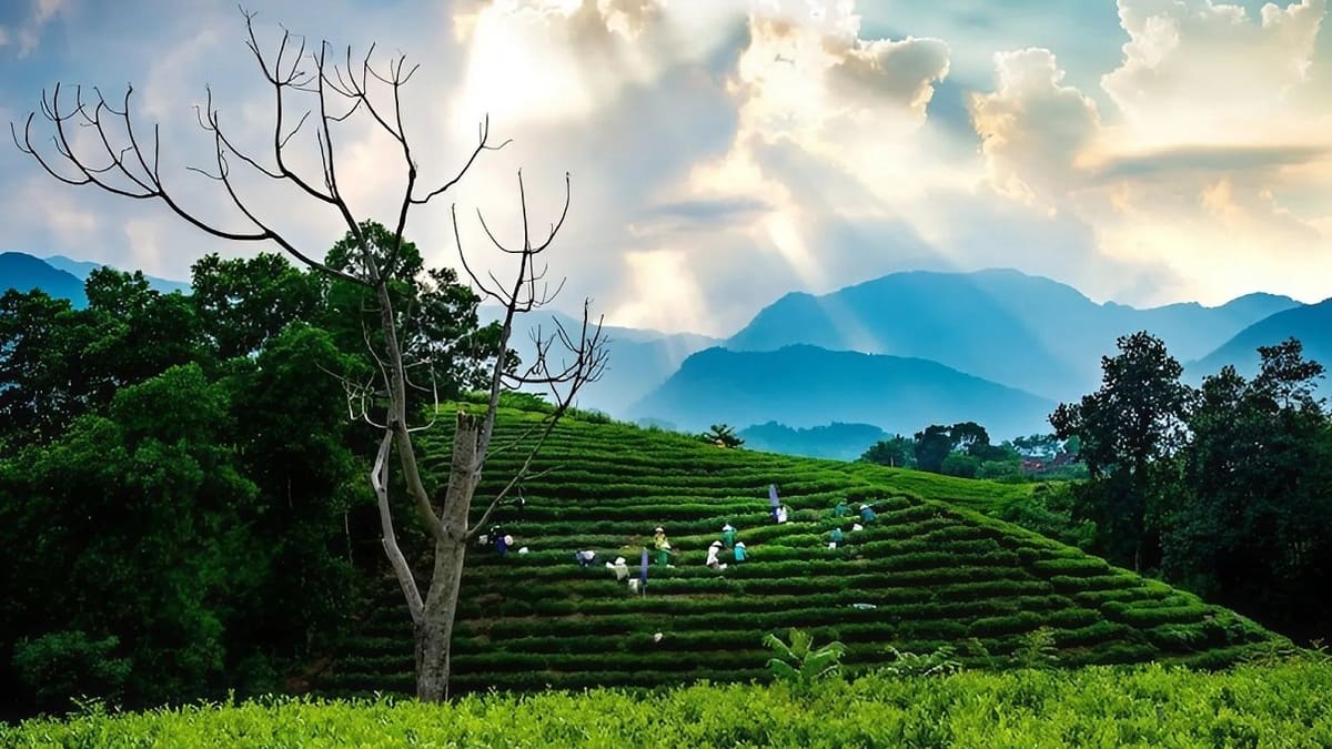Giới thiệu chung Thái Nguyên